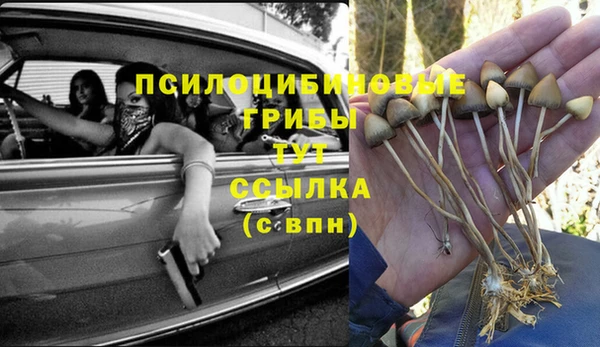 2c-b Горняк