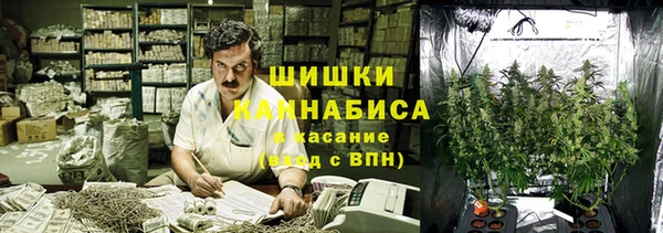 spice Вяземский