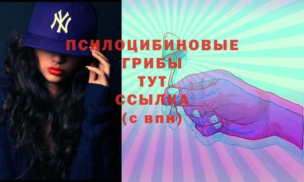 МДМА Сосновка