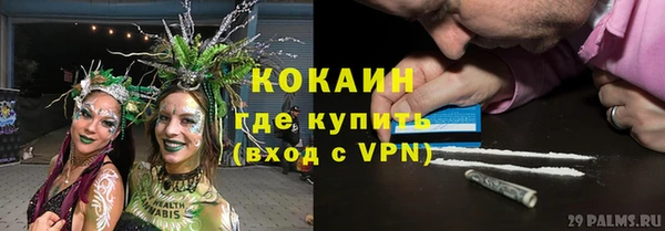2c-b Горняк