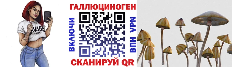 хочу наркоту  Игарка  Псилоцибиновые грибы мицелий 